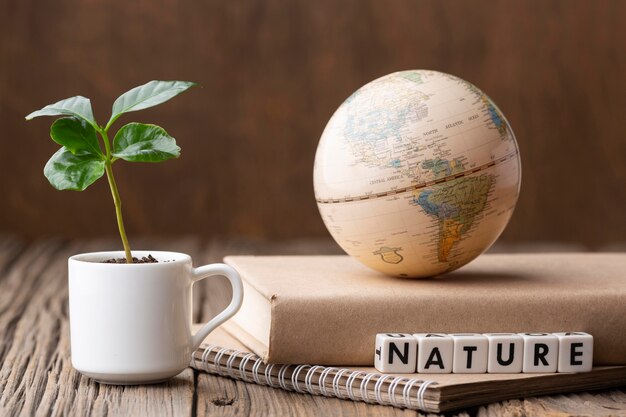 Sustainability